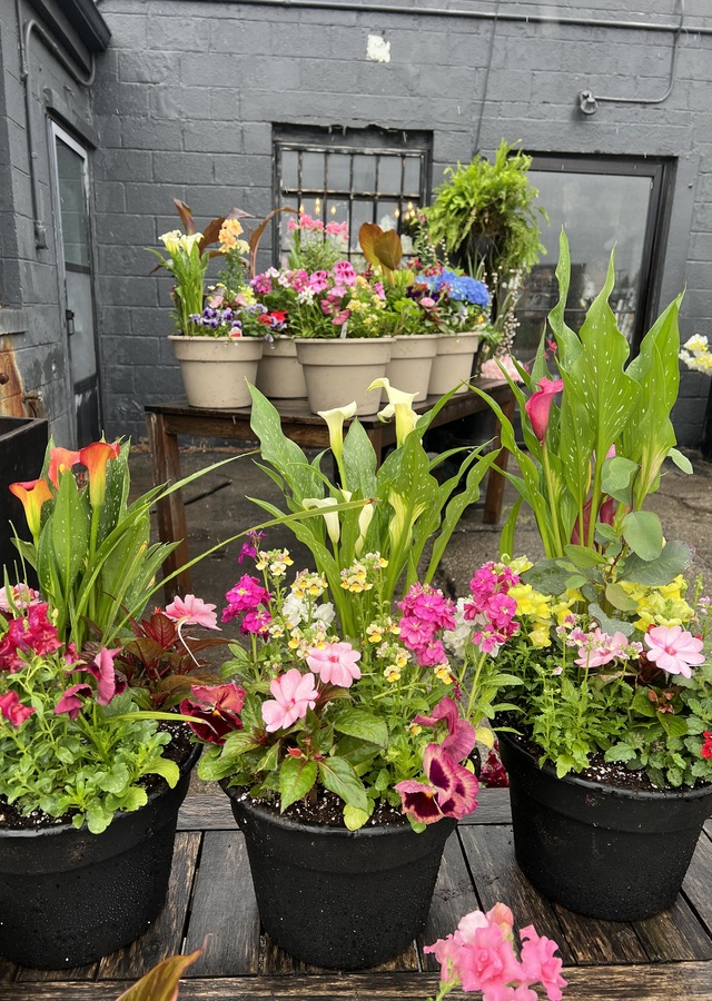 10” Outdoor Early Spring Porch Pot by The Flower Alley