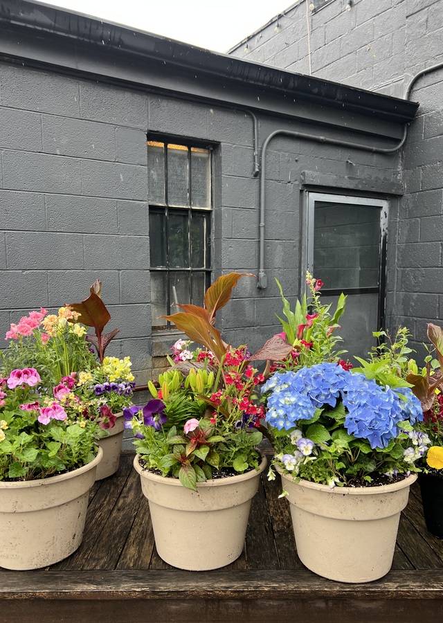 14” Outdoor Early Spring Porch Pot by The Flower Alley