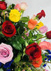 3 dozen long stem multi colored roses thumb