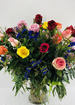 3 dozen long stem multi colored roses thumb