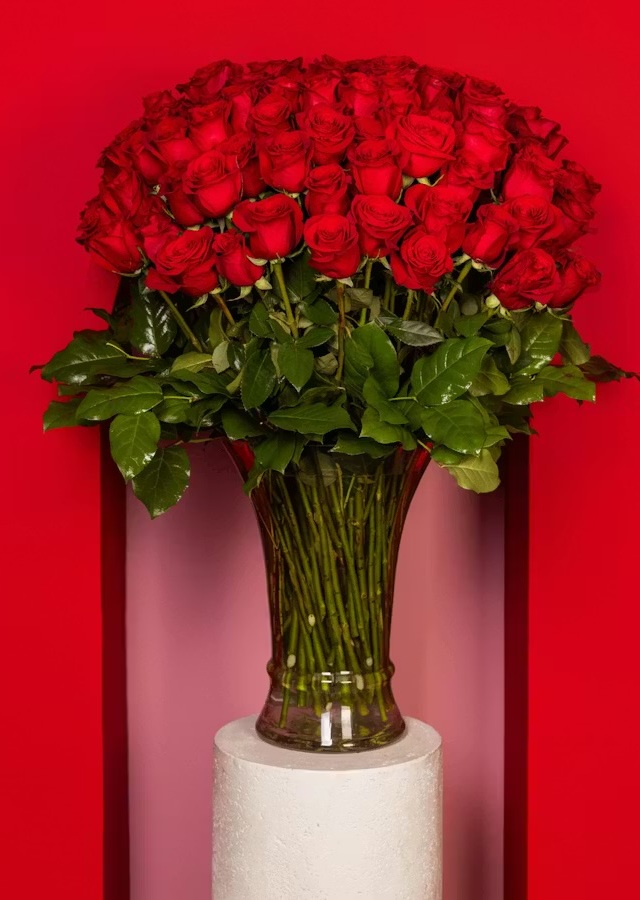 Display of 75 Long Stem Red Roses Vased by The Flower Alley