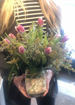 A bloomin love thumb
