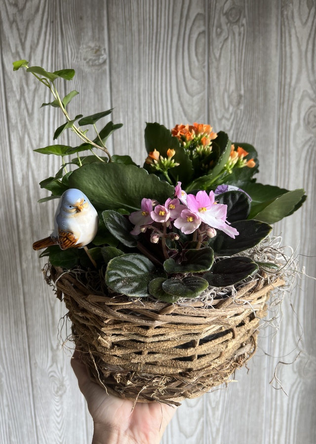 Bird Nest Planter by The Flower Alley
