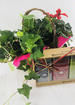 Blooming ivy basket tea gift set thumb