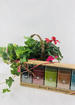 Blooming ivy basket tea gift set thumb