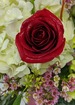 Closeup photo thumb cupid s heart bouquet