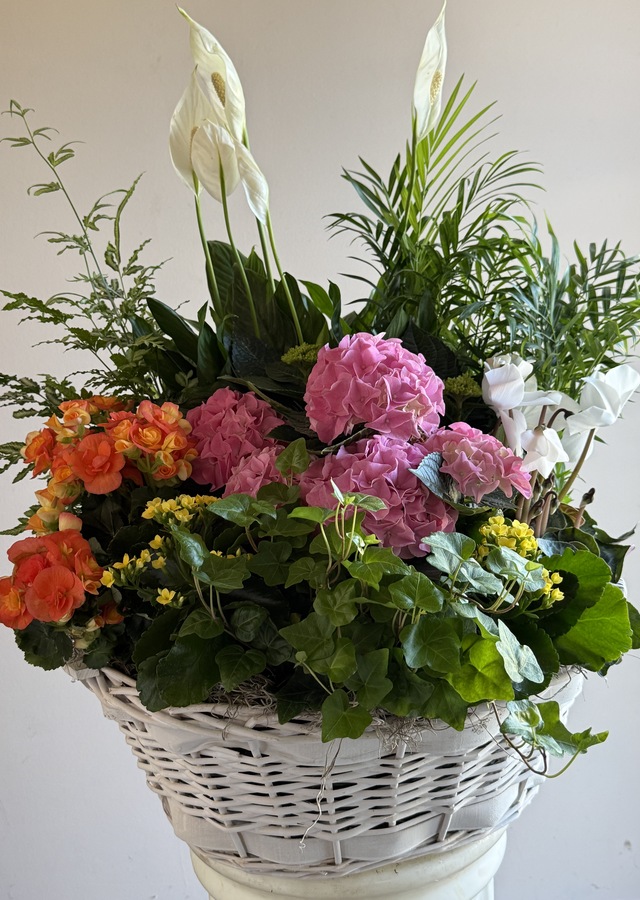 Display of Deluxe Blooming Basket by The Flower Alley