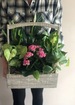 Everything s blooming in spring thumb