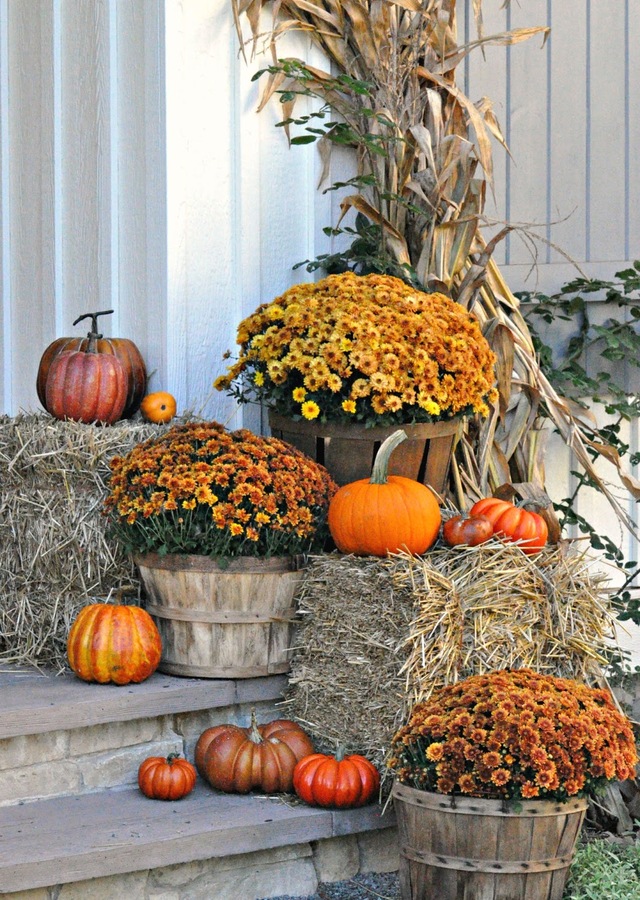 Fall Porch “Survival Kit” - Pre Order by The Flower Alley