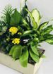 Foliage love thumb