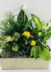 Foliage love thumb