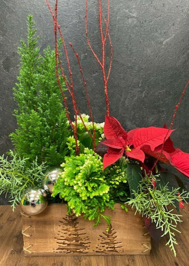 Display of Holiday Indoor Planter - Designers Choice by The Flower Alley