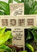 hope joy peace green planter thumb