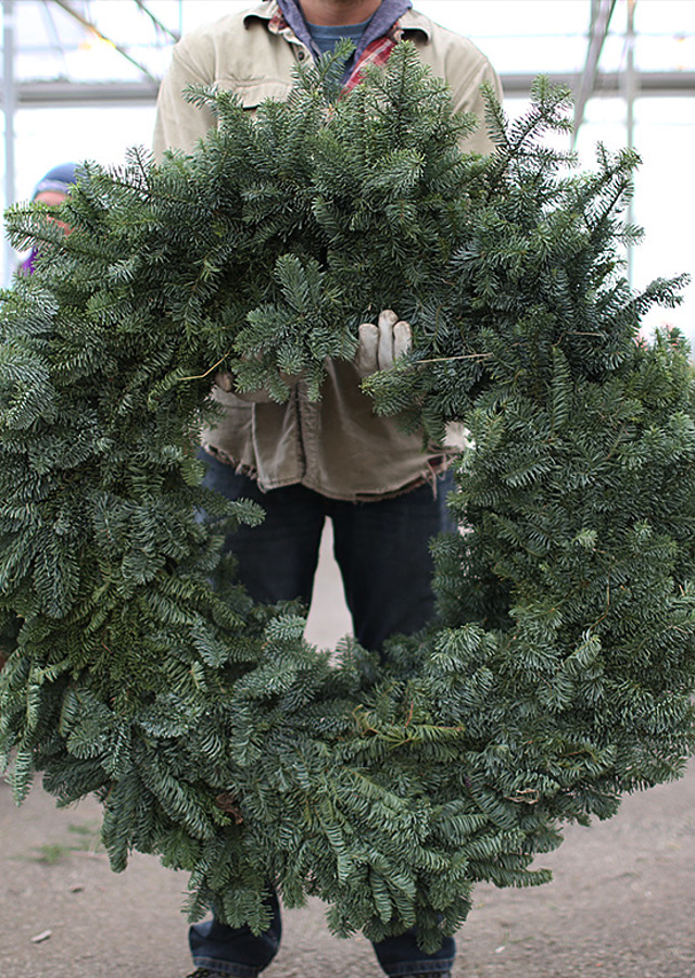 Noble Fir Wreath 50", XL by The Flower Alley