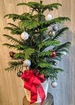Oh christmas tree thumb