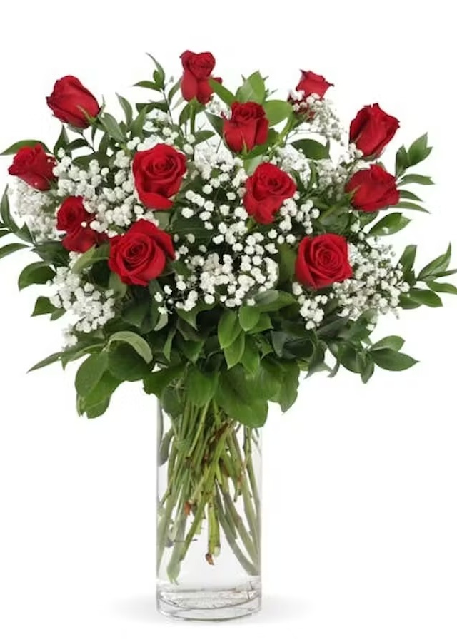 Display of One Dozen Roses with Babies Breath: Classic by The Flower Alley