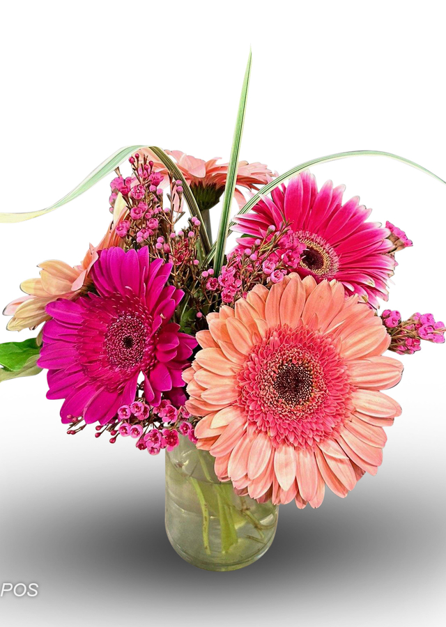 Petite Daisy Delight by The Flower Alley