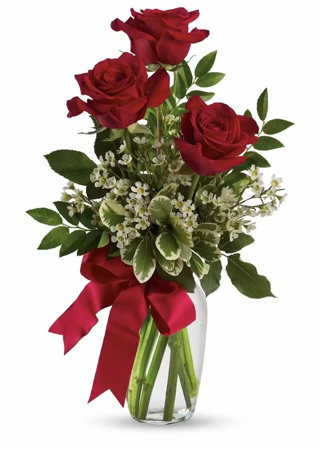 Display of Red Rose Budvase Trio by The Flower Alley
