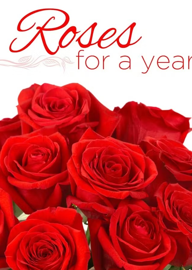 Display of Roses For A Year by The Flower Alley