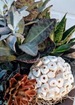 Succulent garden bowl thumb