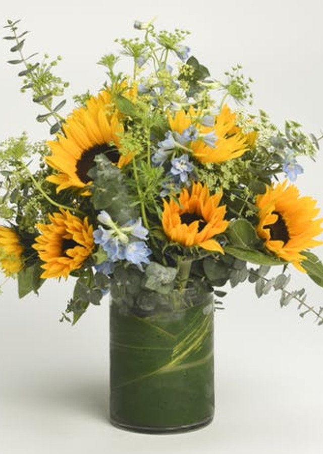 Sunflower Meadow by The Flower Alley