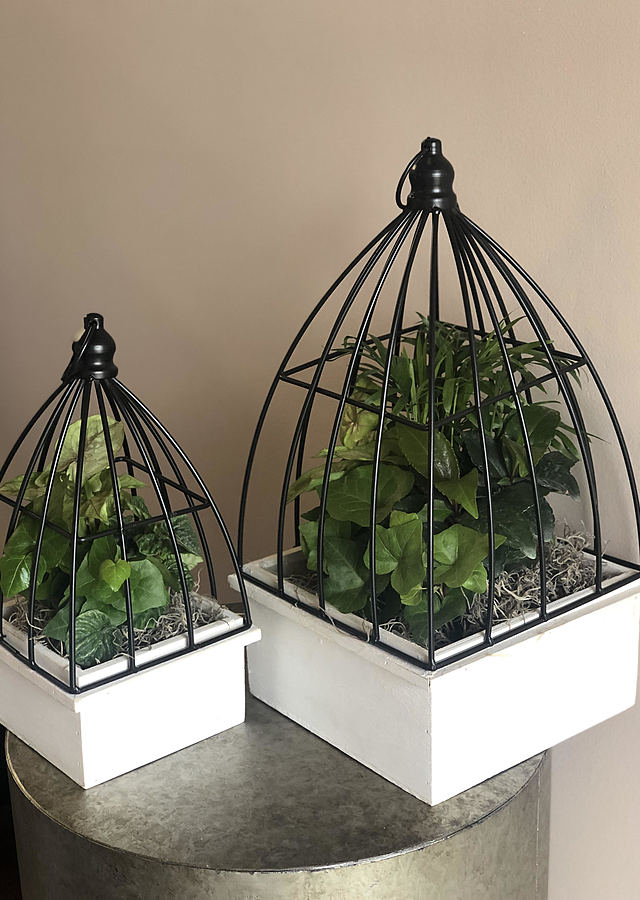 Terrarium Set by The Flower Alley