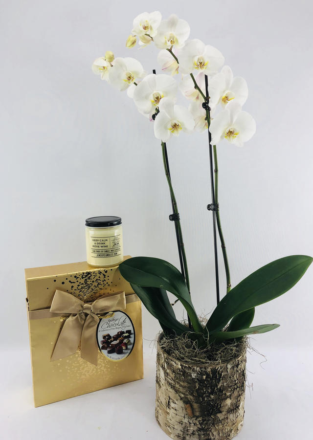 The Classy Lady: Gift Set by The Flower Alley