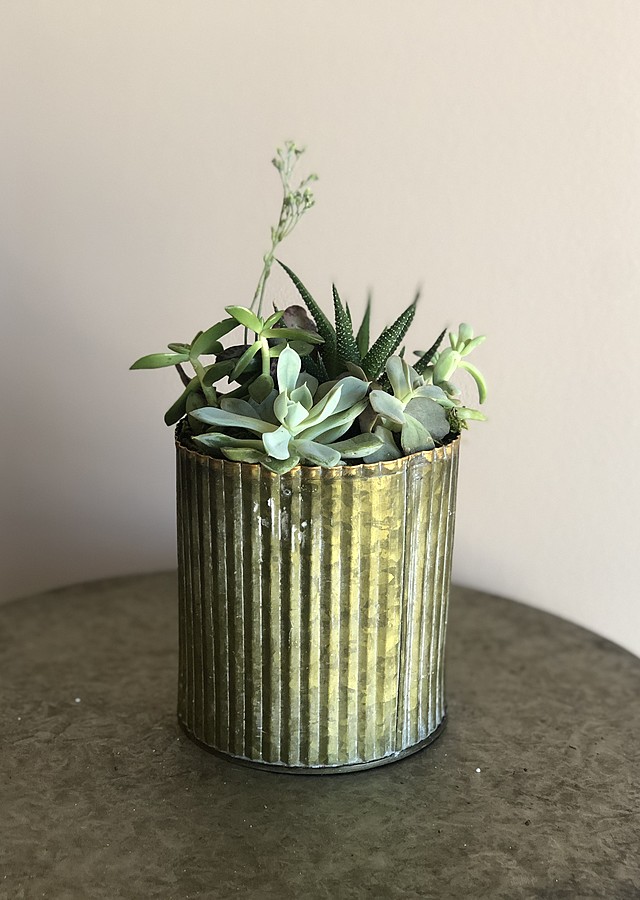 Tin Succulent Garden by The Flower Alley