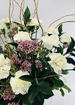 Two dozen premium carnations thumb