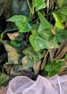 Ultra premium floor stand planter thumb