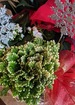 Winter delightful blooming garden basket thumb